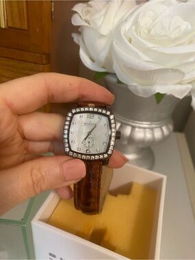 Skagen Women's Crystal-Trim Watch with Brown Leather Strap